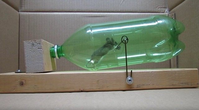 Мышеловка из бутылки