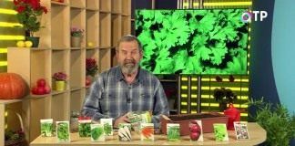 Николай Фурсов. Кандидат сельскохозяйственных наук