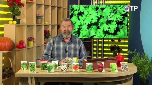 Николай Фурсов. Кандидат сельскохозяйственных наук Николай Фурсов. Кандидат сельскохозяйственных наук