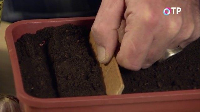 Делаем бороздки глубиной около 3см Делаем бороздки глубиной около 3см