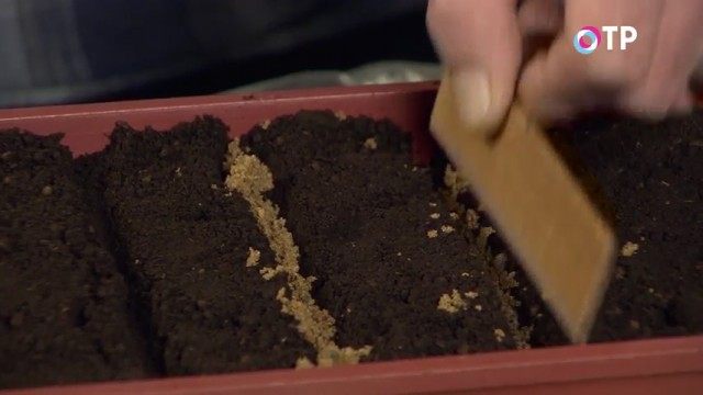 Реечкой уплотняем песочек Реечкой уплотняем песочек