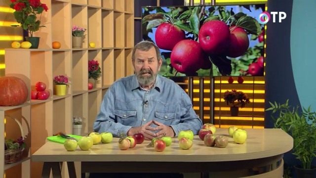 Николай Фурсов. Кандидат сельскохозяйственных наук Николай Фурсов. Кандидат сельскохозяйственных наук