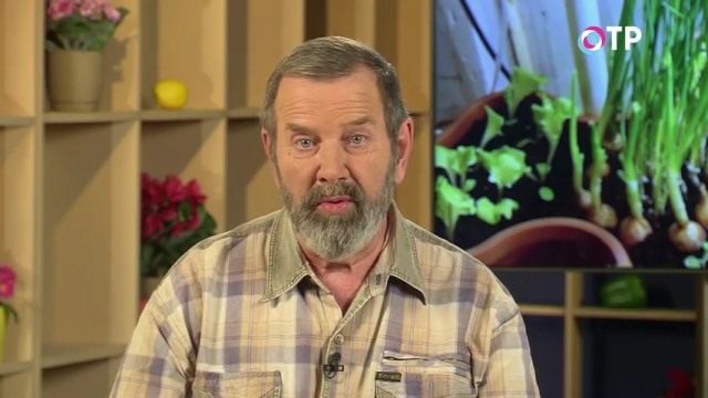 Николай Фурсов. Кандидат сельскохозяйственных наук Николай Фурсов. Кандидат сельскохозяйственных наук