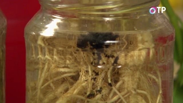 Бросаем в воду таблетку активированного угля Бросаем в воду таблетку активированного угля