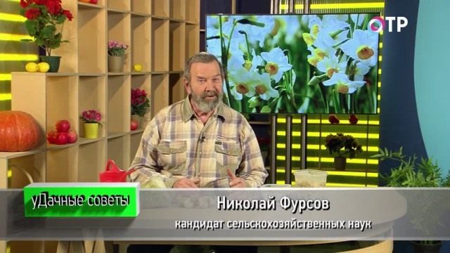 Николай Фурсов. Кандидат сельскохозяйственных наук