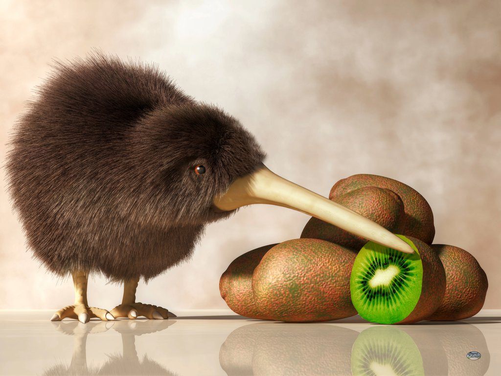 kiwi