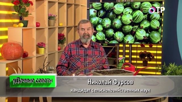 Николай Фурсов. Кандидат сельскохозяйственных наук Николай Фурсов. Кандидат сельскохозяйственных наук