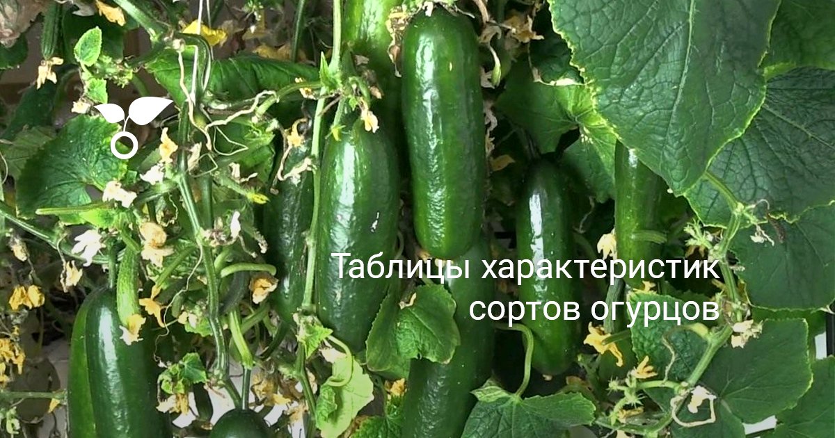 Герб семьи своими руками на свадьбу 763