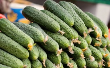 Таблицы характеристик сортов огурцов Огурец