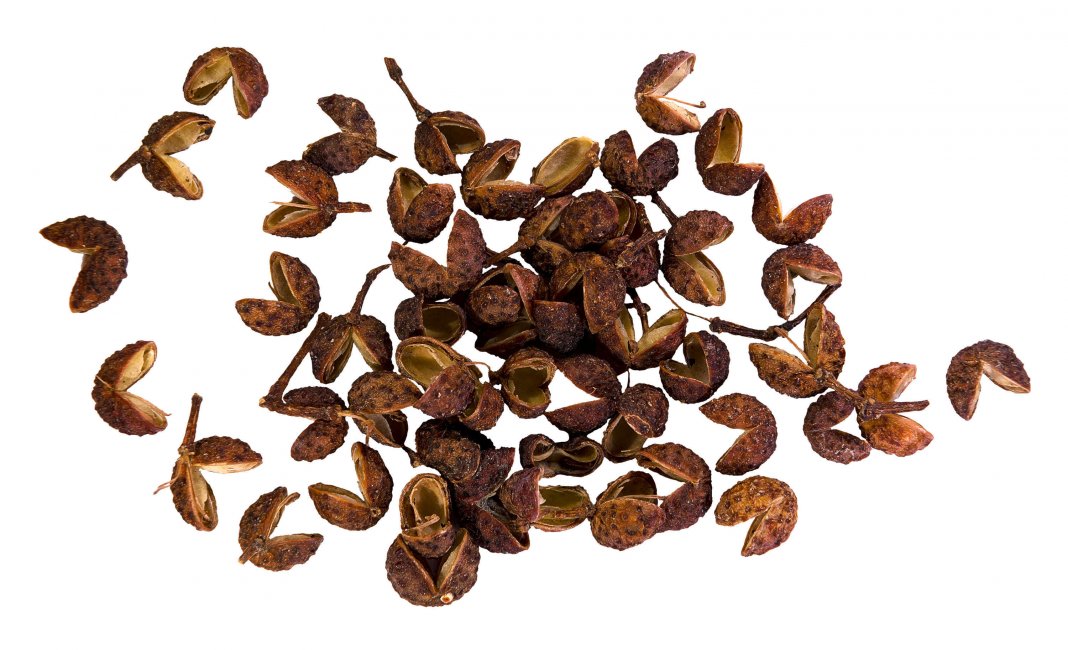 Sichuan-pepper