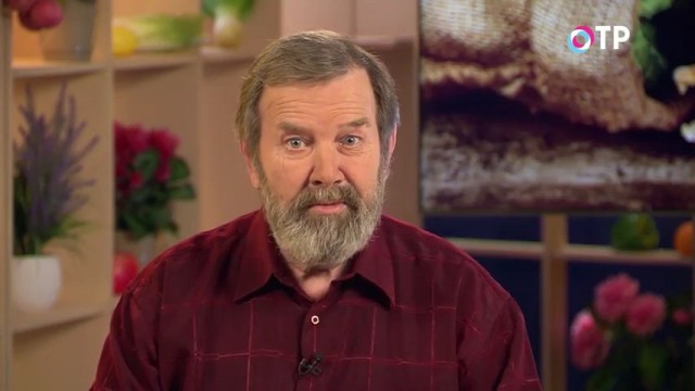 Кандидат сельскохозяйственных наук Николай Петрович Фурсов рассказывает о том, как выбрать семена огурцов для выращивания на дачном участке Кандидат сельскохозяйственных наук Николай Петрович Фурсов рассказывает о том, как выбрать семена огурцов для выращивания на дачном участке