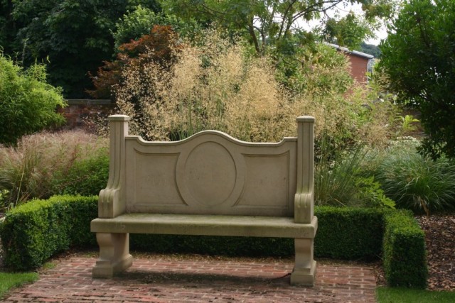 Ковыль гигантский (Stipa gigantea) Ковыль гигантский (Stipa gigantea)