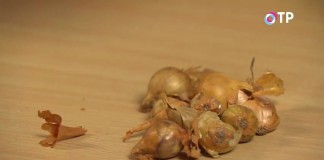 Проведите сортировку купленного или хранящегося дома лука-севка