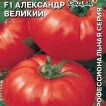 Томат из серии «Великие» от компании СеДеК, гибрид «Александр Великий» F1 Томат из серии «Великие» от компании СеДеК, гибрид «Александр Великий» F1