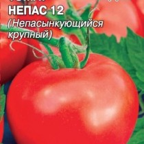 Томат сорта &amp;amp;amp;laquo;Непас 12&amp;amp;amp;raquo; (Крупный)