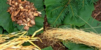 Виды органической мульчи