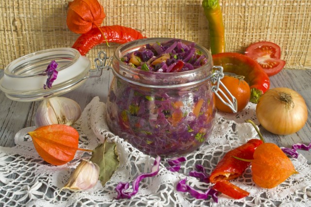 Солянка из краснокочанной капусты на зиму Солянка из краснокочанной капусты на зиму
