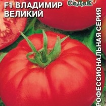 Томат из серии «Великие» от компании СеДеК, гибрид «Владимир Великий» F1 Томат из серии «Великие» от компании СеДеК, гибрид «Владимир Великий» F1