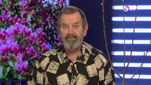 Как правильно формировать молодые яблони и груши Как правильно формировать молодые яблони и груши
