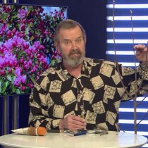Обрезаем следующую ветвь над почкой ниже уровня верхней ветви Обрезаем следующую ветвь над почкой ниже уровня верхней ветви