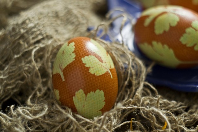 Крашеные яйца к Пасхе, украшенные листиками петрушки