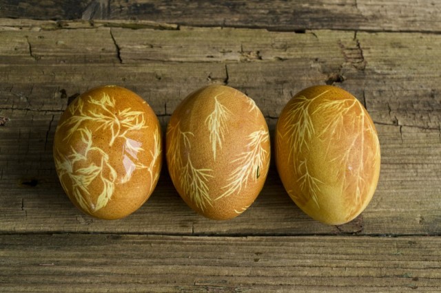 Яйца, окрашенные в луковой шелухе, с узорами из листьев укропа