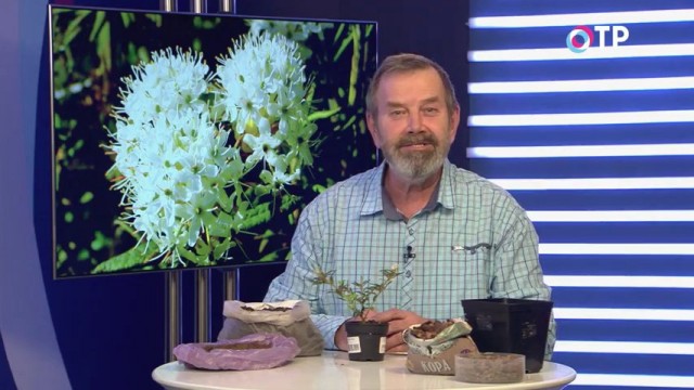 Кандидат сельскохозяйственных наук Николай Петрович Фурсов Кандидат сельскохозяйственных наук Николай Петрович Фурсов