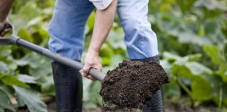 Весенняя подготовка почвы в огороде