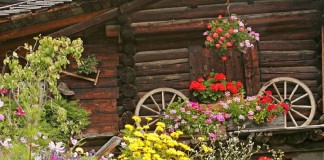 Сад в швейцарском стиле
