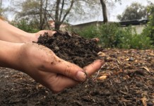 Внесение органических удобрений под плодовые деревья и кустарники