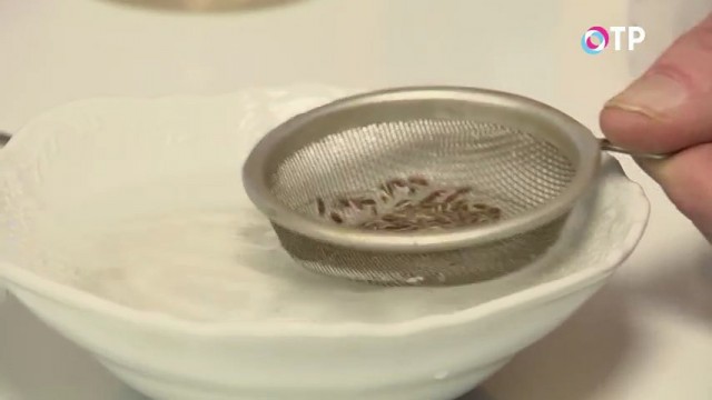 Промываем замоченные семена в чистой воде Промываем замоченные семена в чистой воде