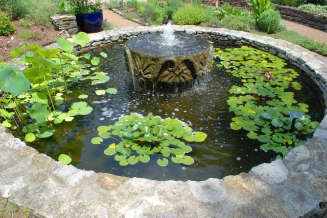 Декоративный пруд с водными растениями