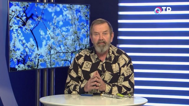 Как проводить весеннюю обрезку растений в саду и цветнике Как проводить весеннюю обрезку растений в саду и цветнике