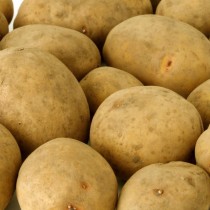 Лучшие сорта картофеля для различных регионов