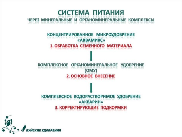 Схема применения комплекса удобрений «Система питания» Схема применения комплекса удобрений «Система питания»