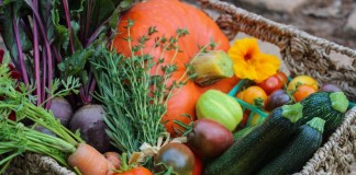 Правильное питание садовых и огородных культур — вопрос серьезный! - Буйские удобрения Урожай овощей