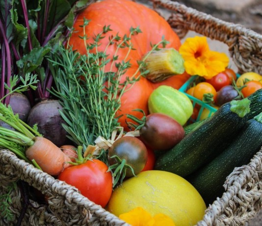 Правильное питание садовых и огородных культур — вопрос серьезный! - Сад и огород Урожай овощей