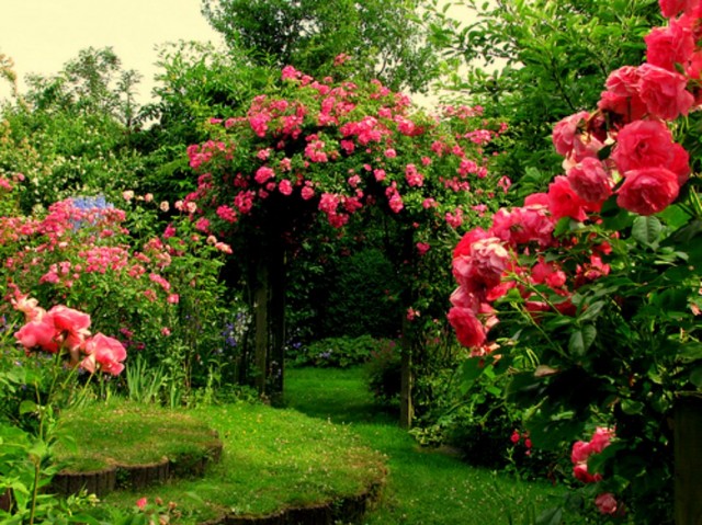 Элементы повторения в цветнике и саду