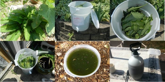 Приготовление натурального удобрения из настоя сорняков Приготовление натурального удобрения из настоя сорняков