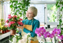 Специализированный магазин комнатных растений
