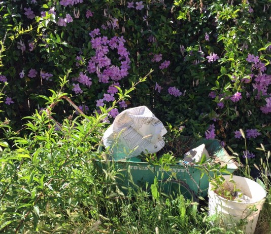 Очистка запущенных территорий сада