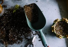 Частичная замена почвы для комнатных растений