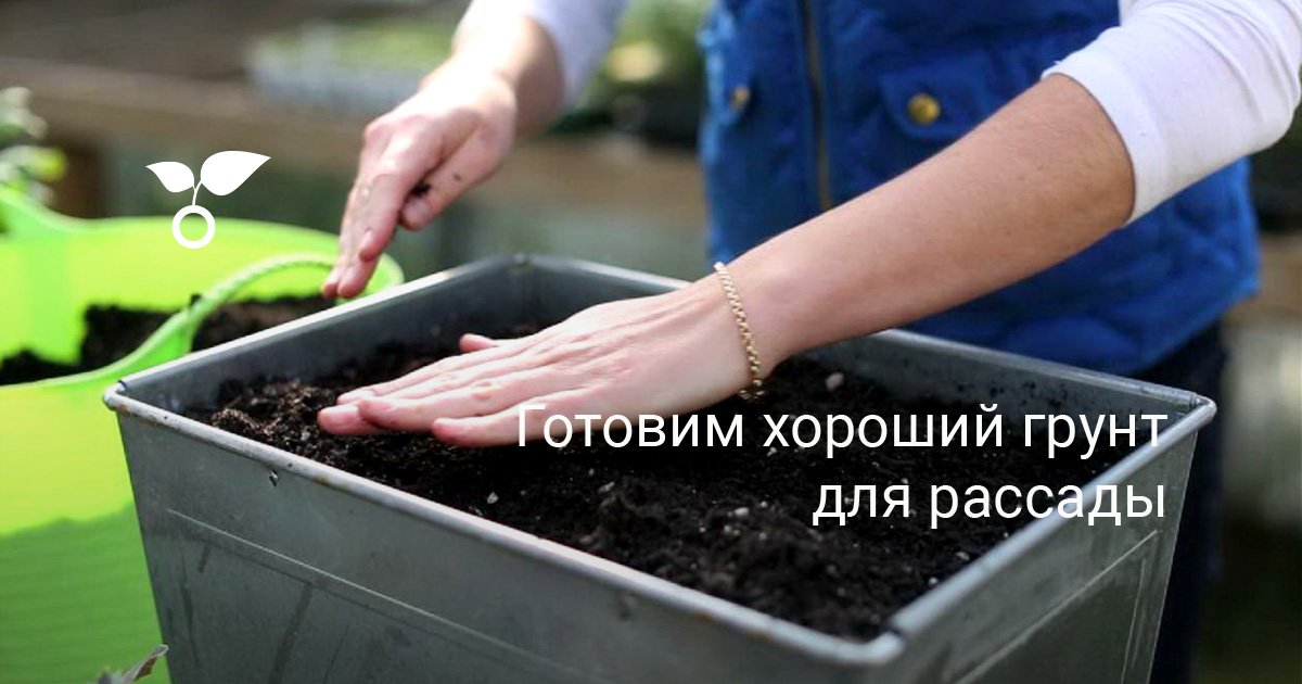 Как готовить грунт для рассады