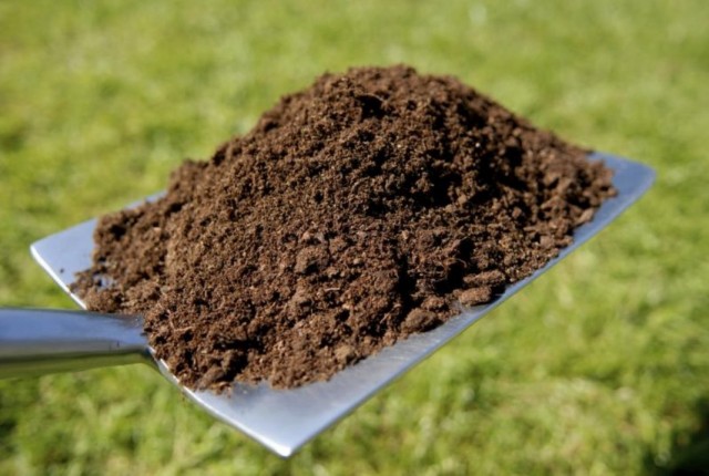 Огородная почва для приготовления грунта для рассады