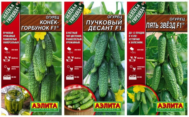 Так что же такое партенокарпия, гибриды и ГМО?