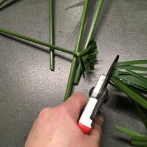 Обрезаем листья Обрезаем листья