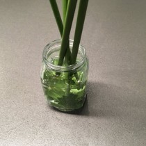 Ставим в емкость с водой макушками вниз Ставим в емкость с водой макушками вниз