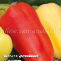 Перец сладкий сорт «Белогор» Перец сладкий сорт «Белогор»