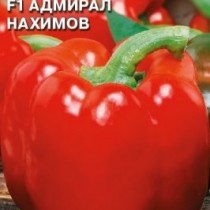 Перец сладкий сорт «Адмирал Нахимов» Перец сладкий сорт «Адмирал Нахимов»