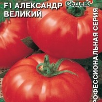 Томат сорта «Александр Великий F1» Томат сорта «Александр Великий F1»